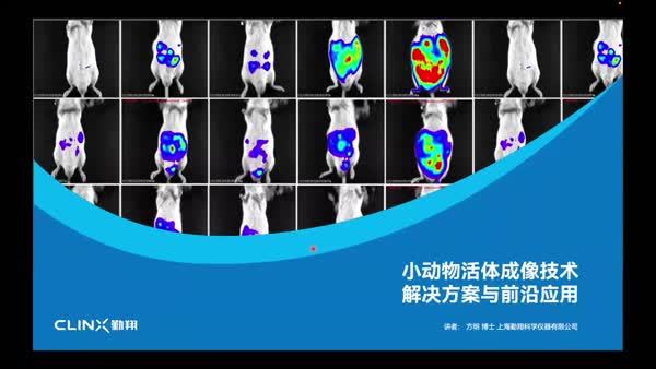 突破成像边界—小动物活体成像技术解决方案与前沿应用