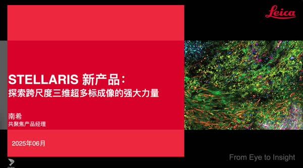 探索跨尺度三维超多标成像的强大力量