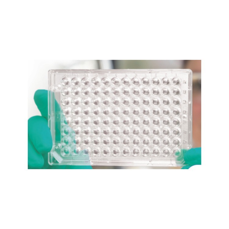 FaCellitateFacellitate 3D细胞培养板-涂层细胞板BIOFLOAT _报价 - 大连力迪流体控制技术有限公司