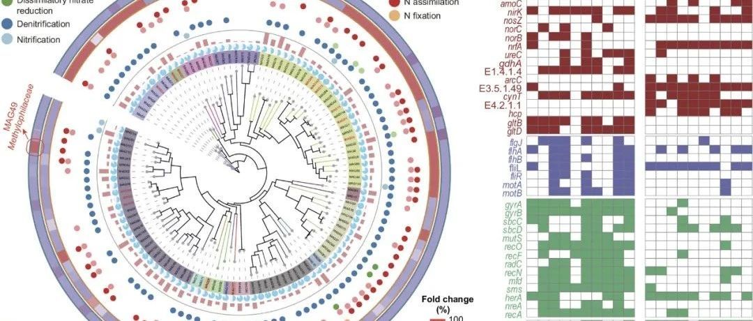 【文献转载】PNAS | 抗生素环丙沙星对土壤病毒群落及N2O产生的影响机制