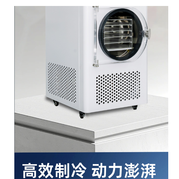 样品制备实验型真空冷冻干燥机普通型/压盖型(SYFD10/12/18)