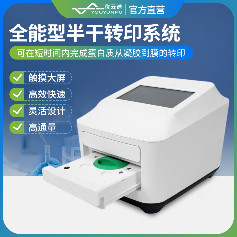 全自动转膜仪YP-ZM  蛋白转膜仪 半干转印仪