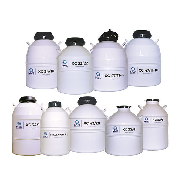 查特MVE CryoMoover进口运输型液氮罐4.2L