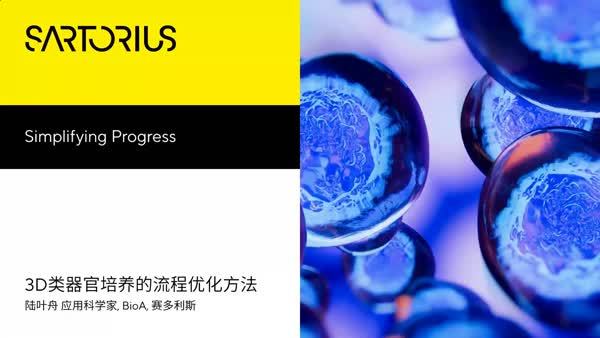 探索3D类器官培养的流程优化方法