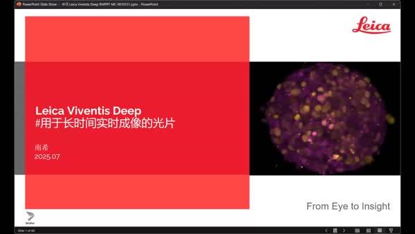 Viventis Deep 用于长时间实时成像的光片