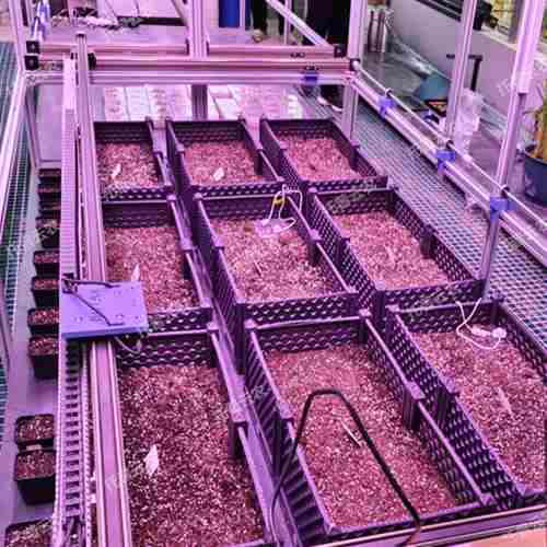 植物表型平台人工气候室