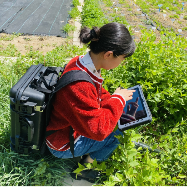 LK-1580 MultiRhzio 根系生长动态复合监测系统