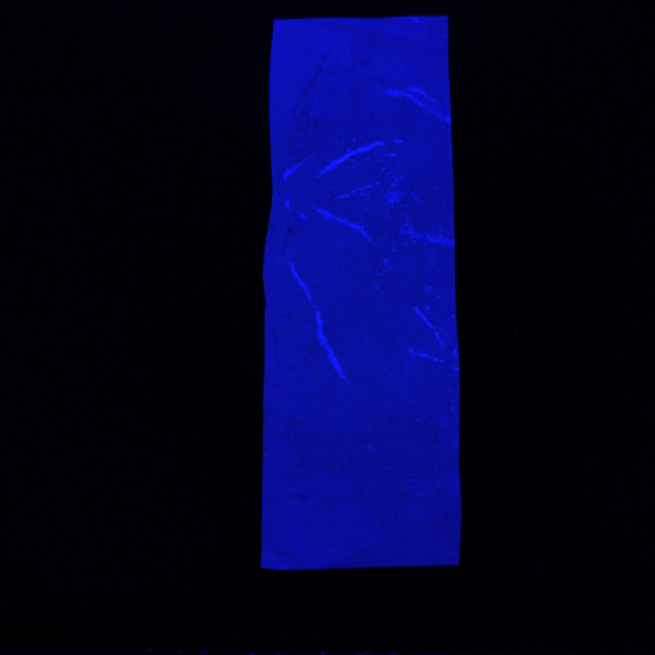 力科惠泽 LK-1760 Rhizo-enzy 原位根际酶活性成像系统