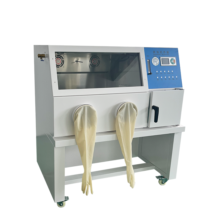 上海川昱厌氧培养箱实验室微需氧菌手套箱