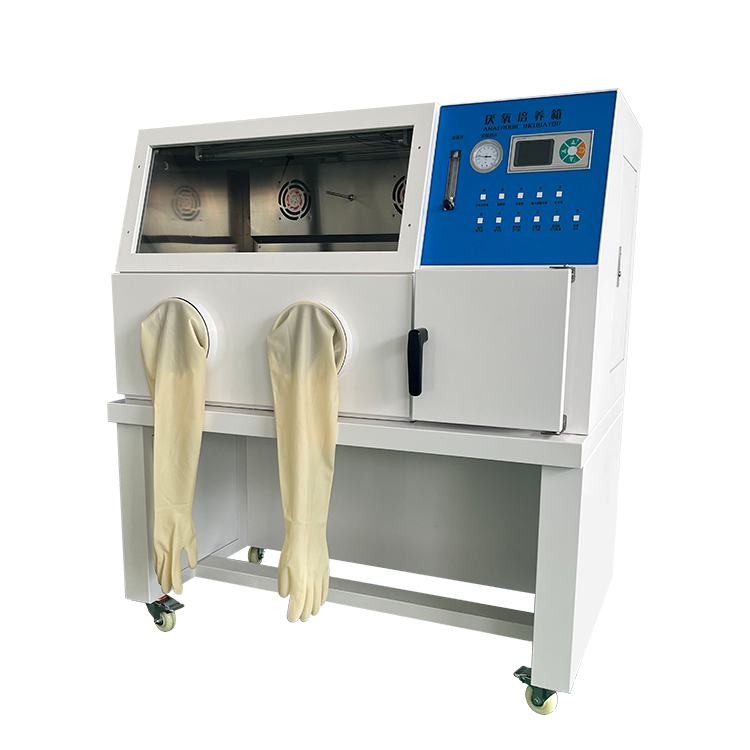 上海川昱厌氧培养箱实验室微需氧菌手套箱