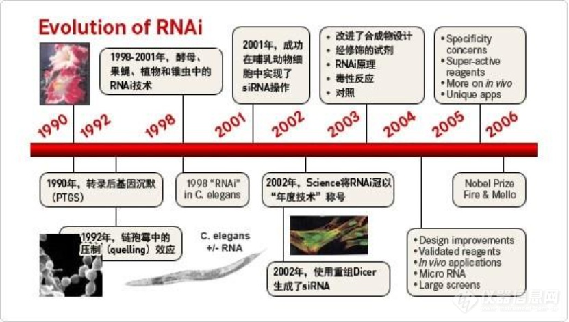 RNA干扰（RNAi）技术的原理解析与历史里程碑 -赛默飞_赛默飞世尔科技（中国）有限公司集团展位