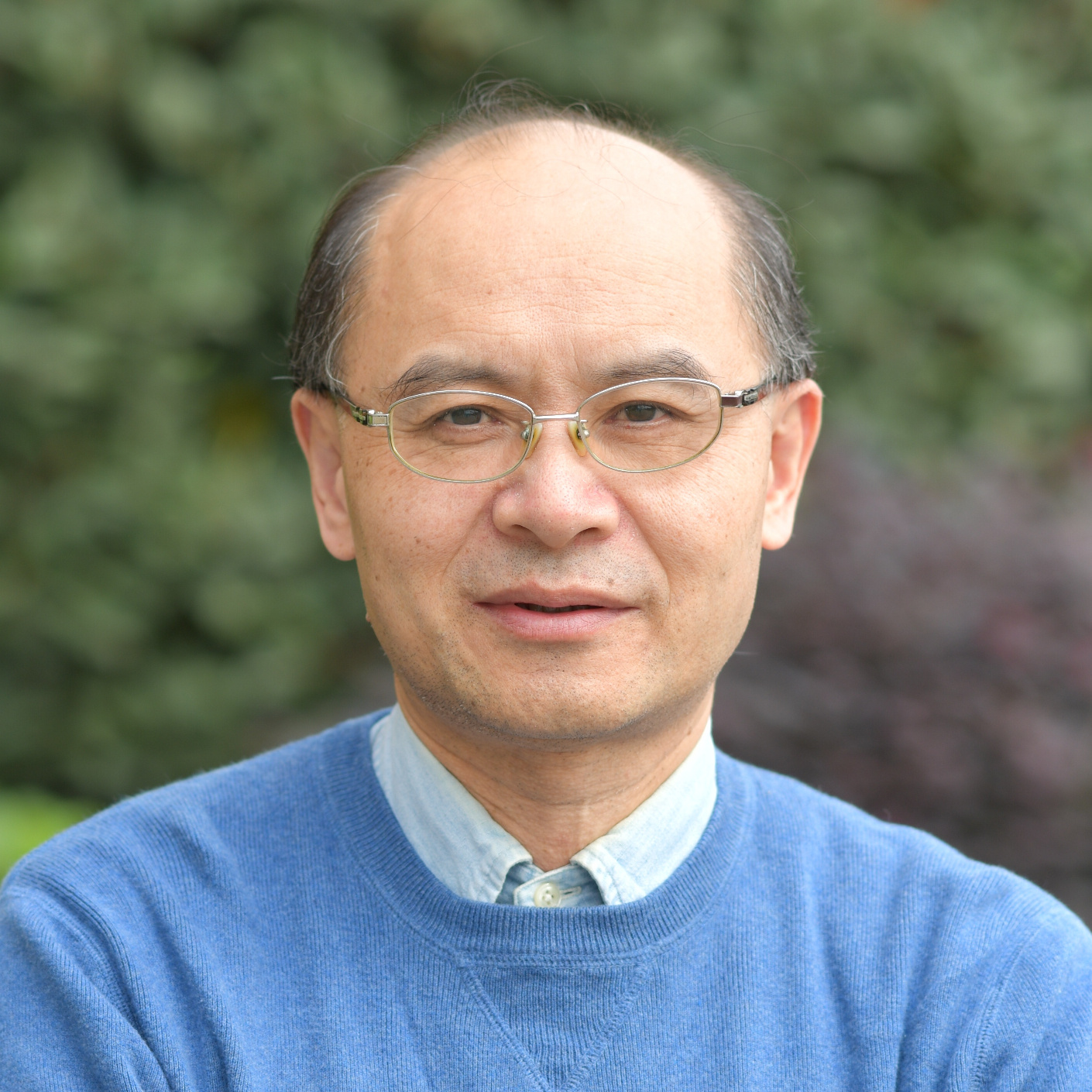 陈洛南