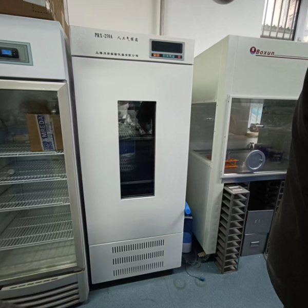 川宏仪器小型植物光照培养箱GZX-350B