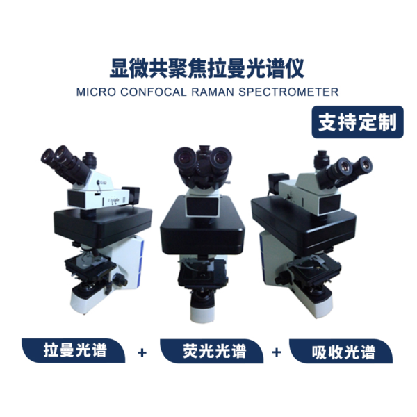 显微共聚焦拉曼光谱仪