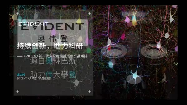 持续创新，助力科研 —— EVIDENT 新一代多尺度显微成像产品矩阵