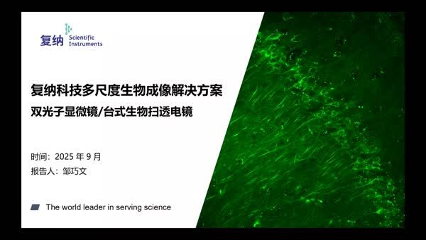 复纳科技多尺度生物成像解决方案——双光子显微镜与台式扫透电镜
