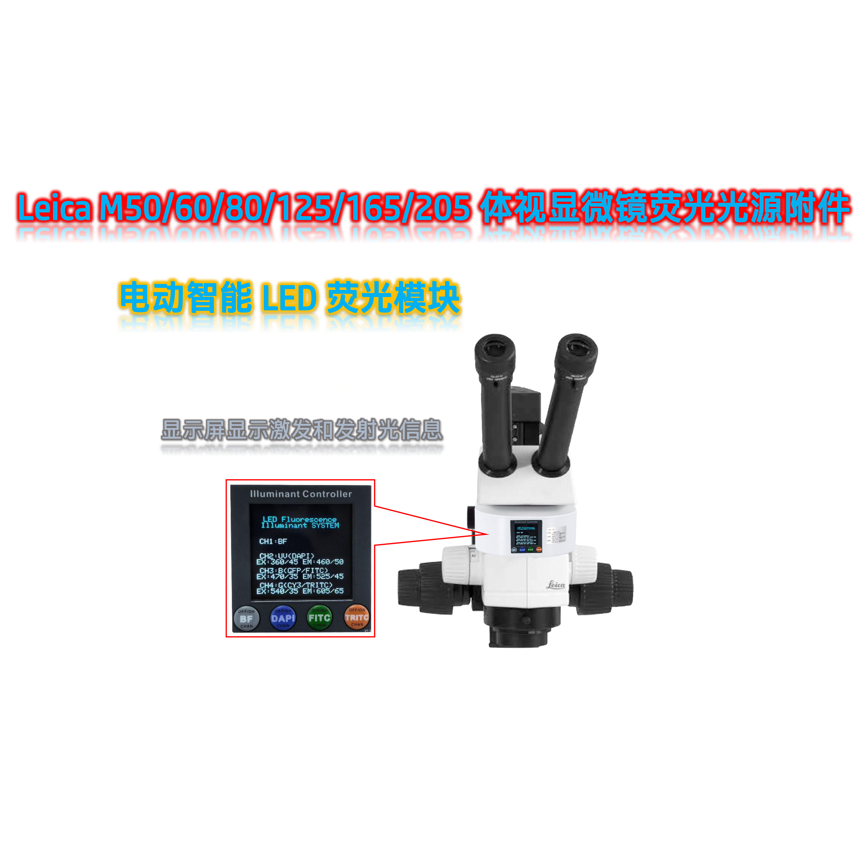 Leica体视荧光显微镜LED光源附件MX-UVBGR-E