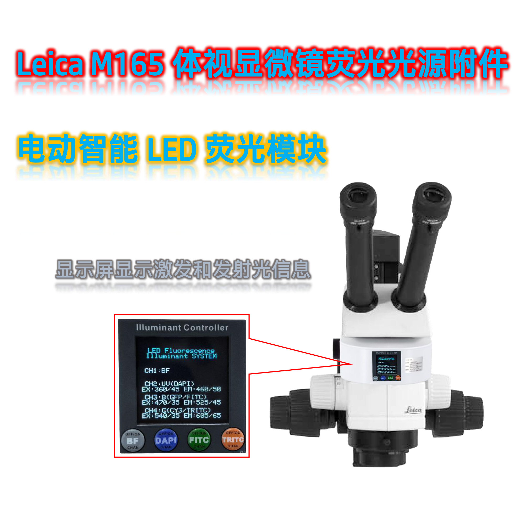 徕卡体视荧光显微镜光源附件M165-UVBGR-E