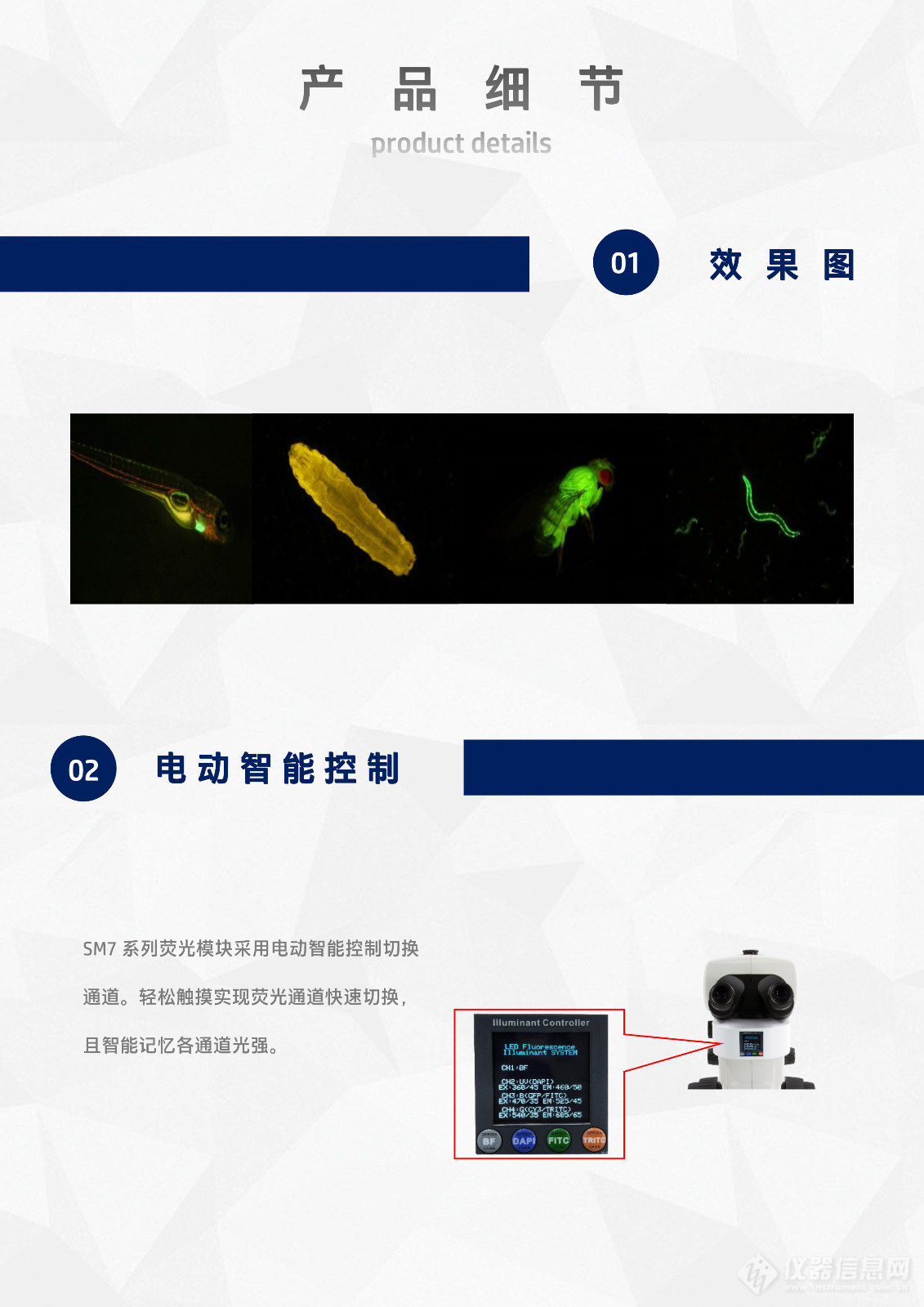 麦克奥迪Motic SM7体视显微镜LED体视荧光模块光源附件SM7-UVBGR-E_flyer_v25.1123-4.jpg