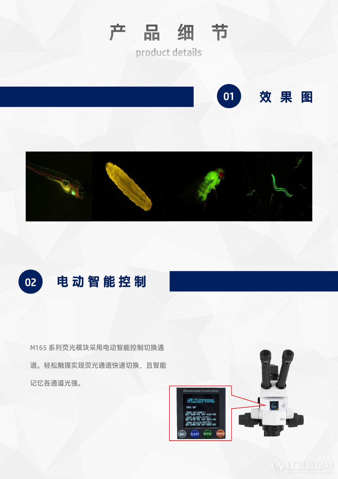 徕卡Leica M165体视显微镜LED体视荧光模块光源附件M165-UVBGR-E_flyer_v25.11.23-4.jpg