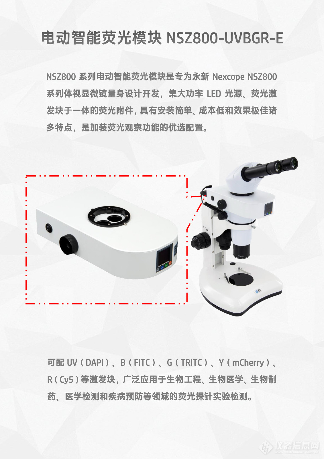 永新Nexcope NSZ800体视显微镜LED体视荧光模块光源附件NSZ800-UVBGR-E_flyer_v25.10.01-2.jpg