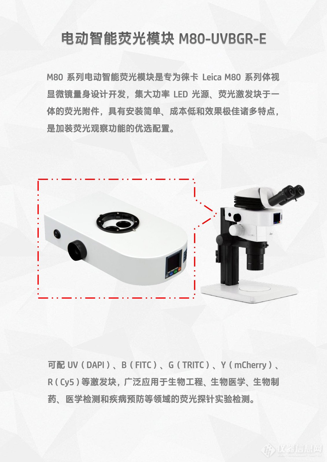 徕卡Leica M80体视显微镜LED体视荧光模块光源附件M80-UVBGR-E_flyer_v25.11.23-2.jpg