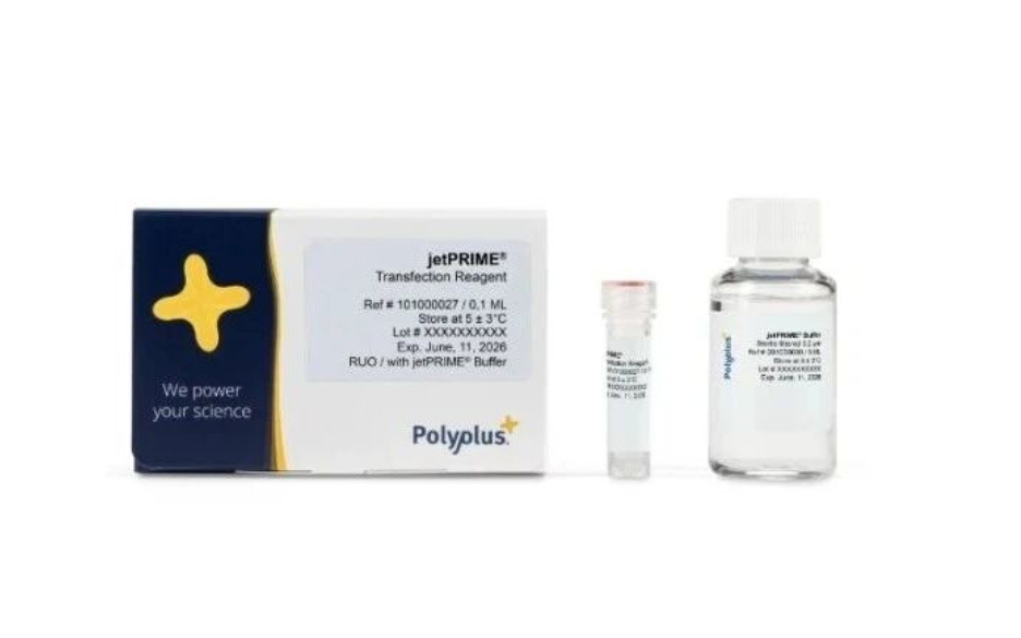 高效低毒！ Polyplus® 轻松搞定各种转染难题！_德国赛多利斯集团