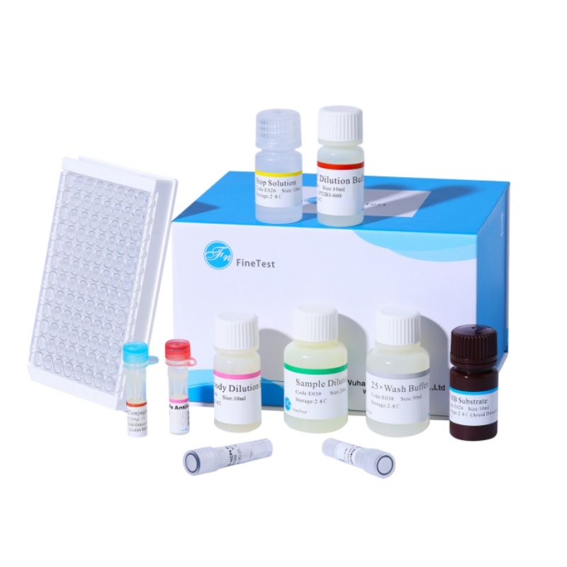 Human Semaglutide IgE ELISA Kit|IgE(Semaglutide IgE)ELISA |96.0T|EH5258- Human Semaglutide IgE ELISA Kit|IgE(Semaglutide IgE)ELISA |96.0T|EH5258-