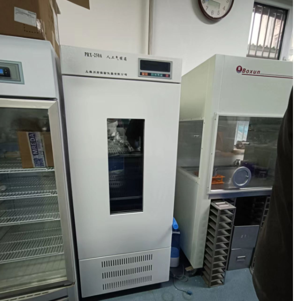 川宏仪器小型大鼠饲养箱RGX-150B