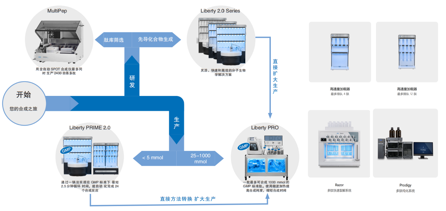 多肽合成中偶联效率的 “断崖式下跌”原因以及应对策略