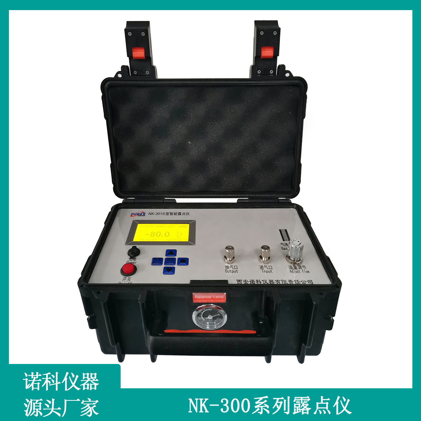 西安诺科仪器天然气在线水露点分析仪NK-300系列