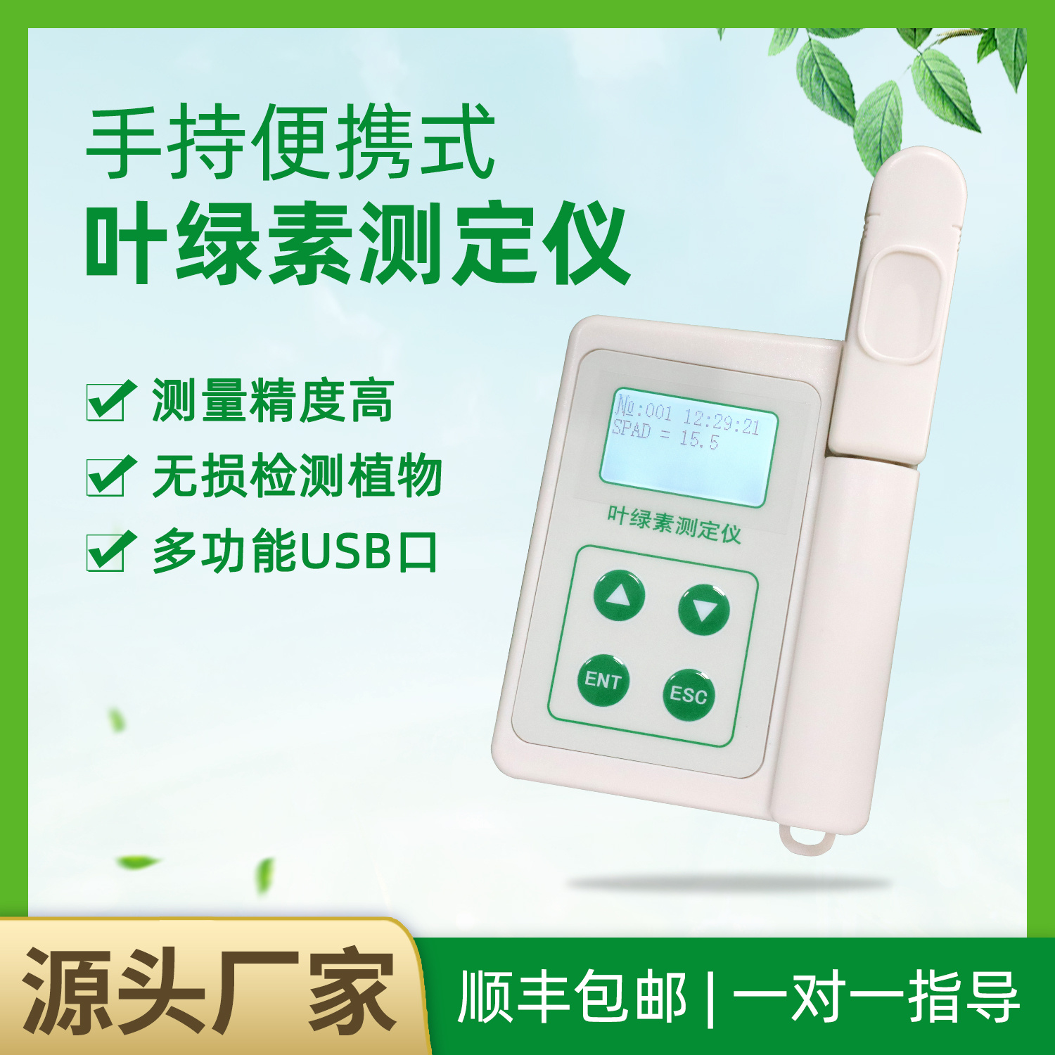 叶绿素测定仪YLS