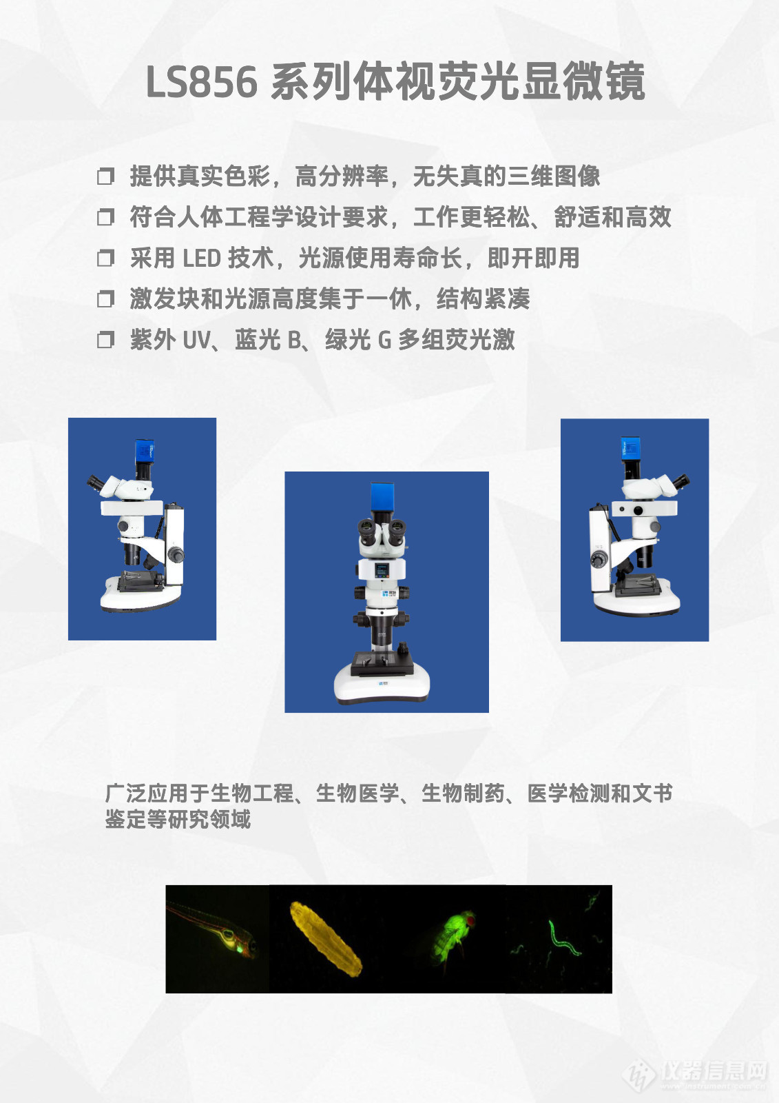 体视荧光显微镜LSF856-2.jpg