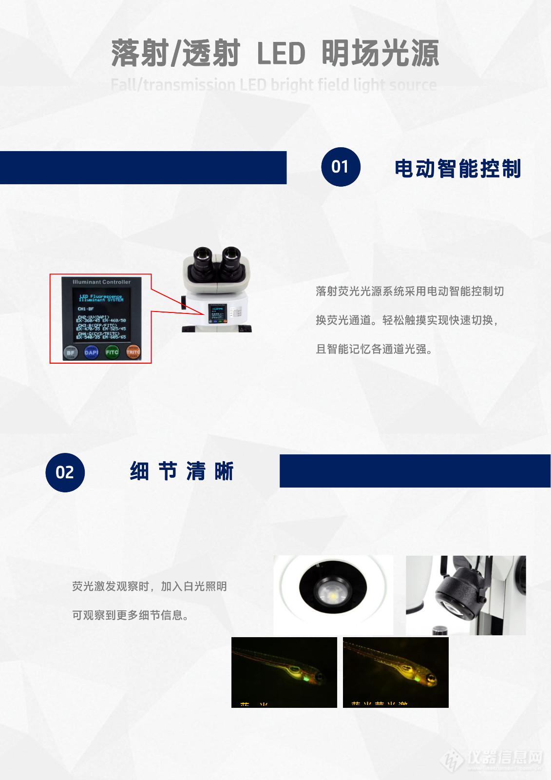 体视荧光显微镜LSF856-7.jpg