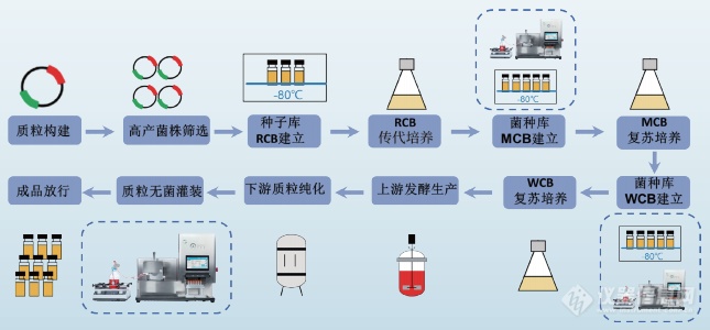 AbioFillV100细胞灌装系统(图13)