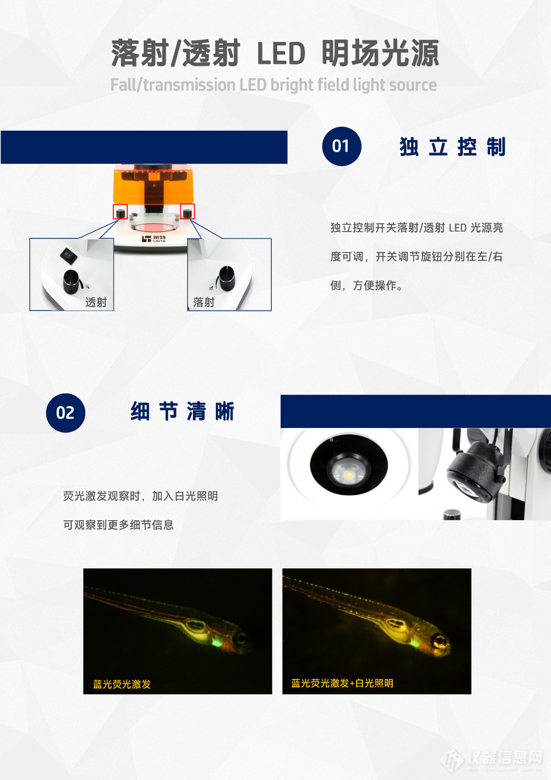 体视荧光显微镜LSF856-6.jpg