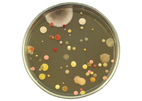 杭州华端生物科技有限公司_华端生物_首页