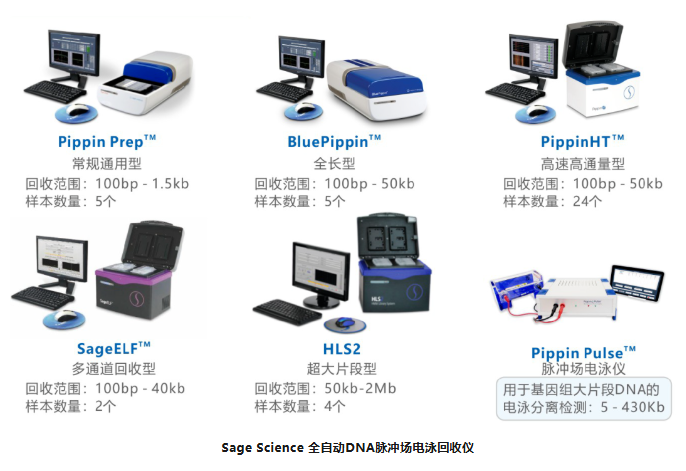 超长测序文库新思路：Blue Pippin全自动大片段DNA脉冲场电泳回收仪用于Ultra Long_环亚生物科技有限公司