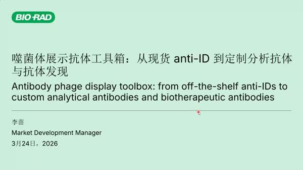 噬菌体展示抗体工具箱：从现货 anti-ID 到定制分析抗体与抗体发现