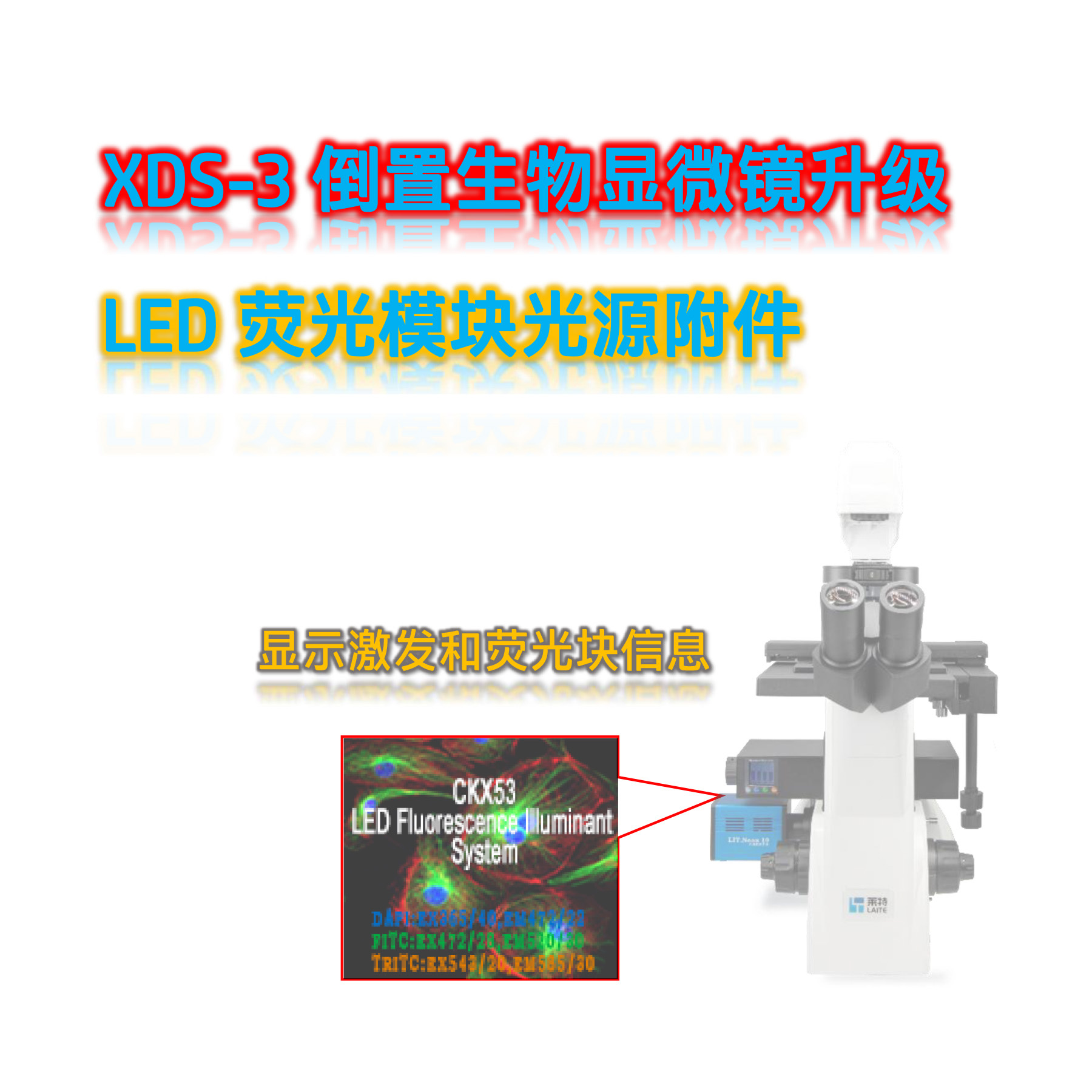 LISS粤显XDS-3倒置显微镜升级荧光模块光源附件XDS3-UVBGY-E