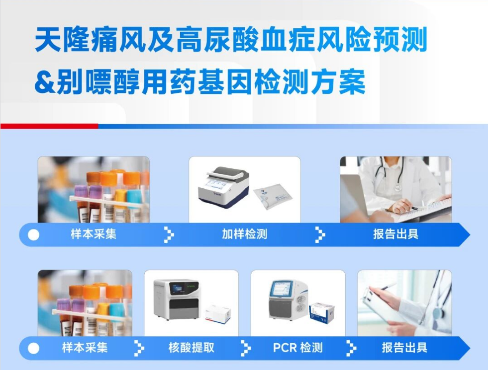 天隆方案，双基因检测，助力痛风防治