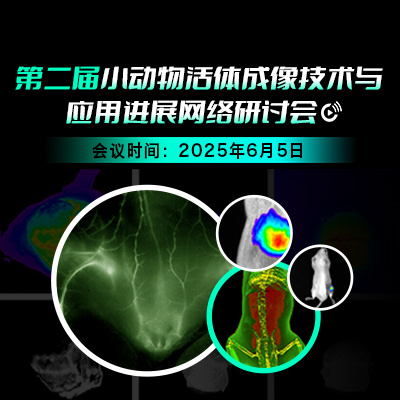 iCEM 2019