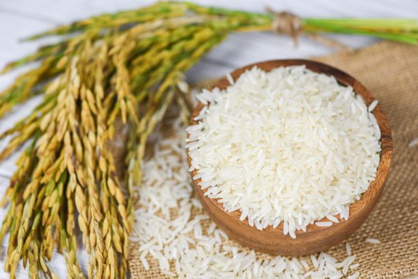 大米、菠菜中铜元素含量的测定