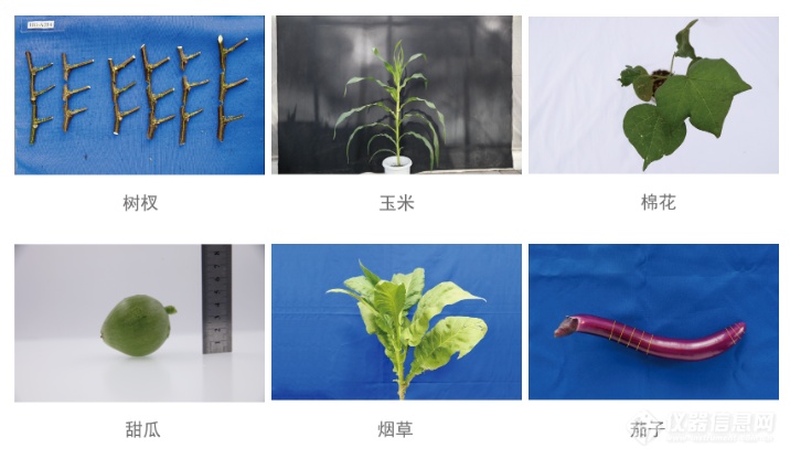 企业微信截图_17840092362858.png