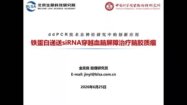 铁蛋白递送siRNA穿越血脑屏障治疗脑胶质瘤
