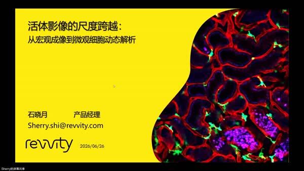 活体影像的尺度跨越：从宏观成像到微观细胞动态解析