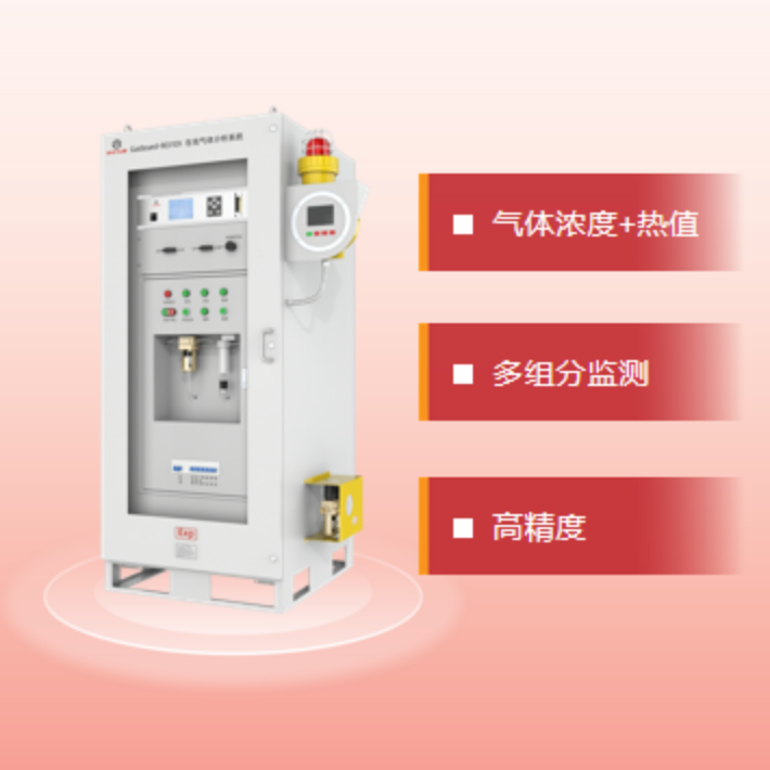 四方仪器 在线气体分析系统 Gasboard-9031EX