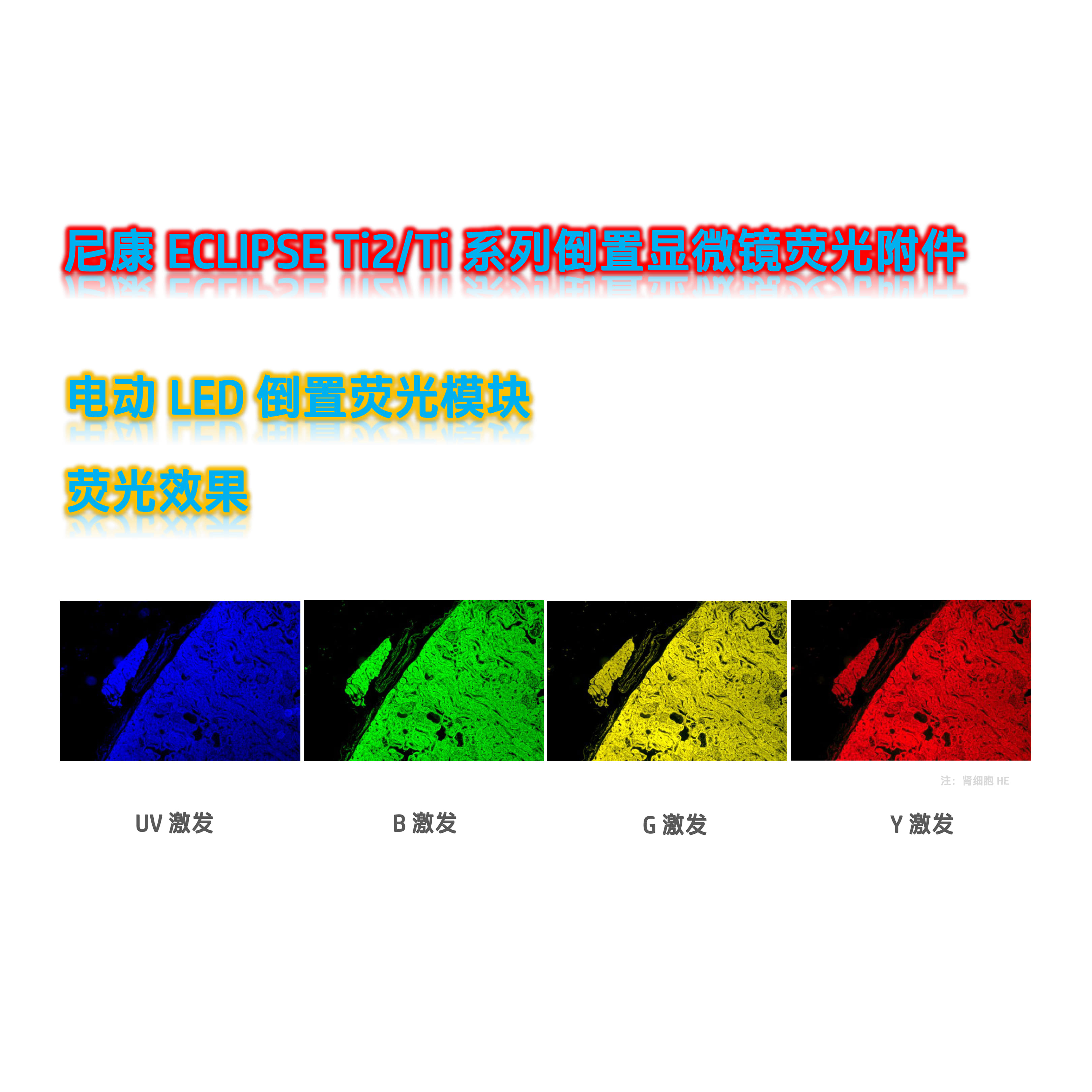 尼康ECLIPSE Ti2_Ti系列倒置显微镜荧光升级单色LED荧光模块光源附件Ti-Y-E