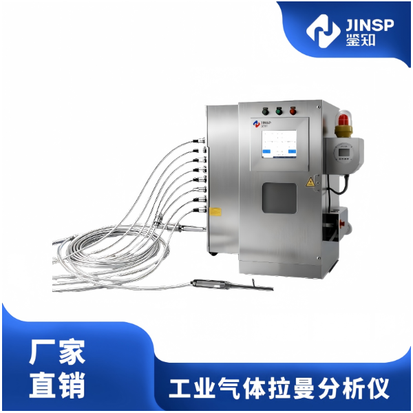 RS2600PAT 工业版多组分气体分析仪