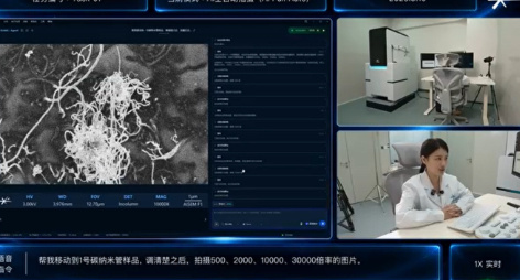 产品名称